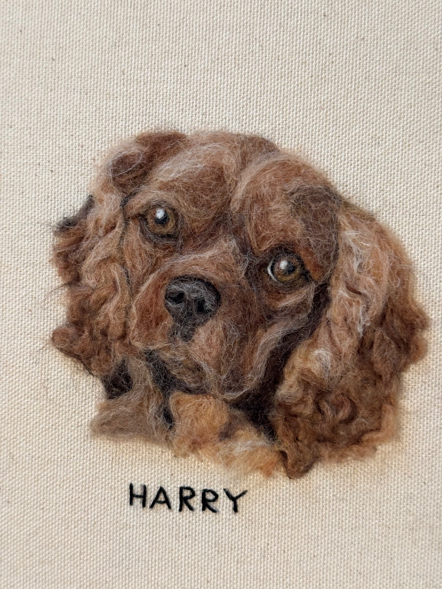 Single Pet Portrait