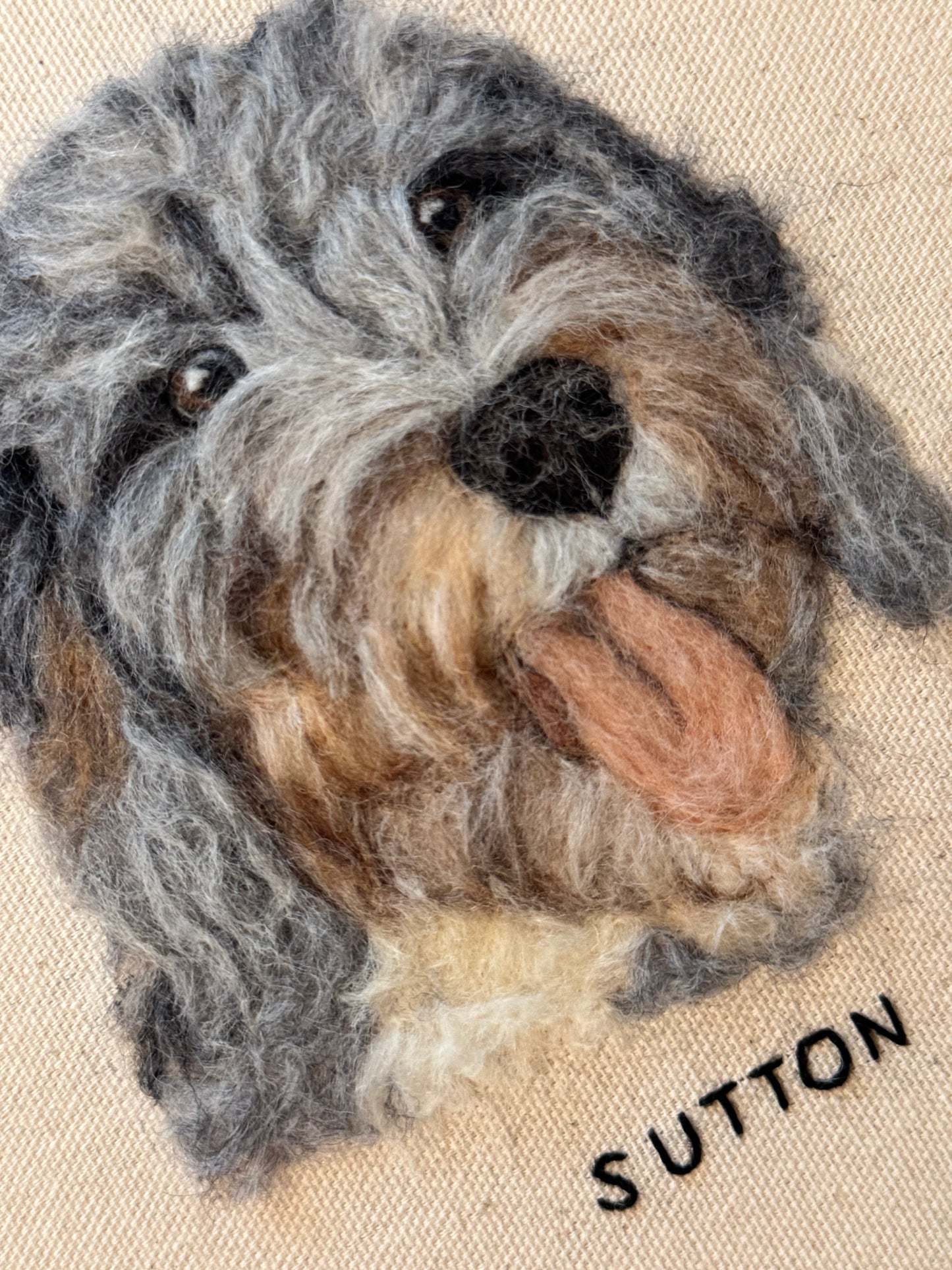 Single Pet Portrait