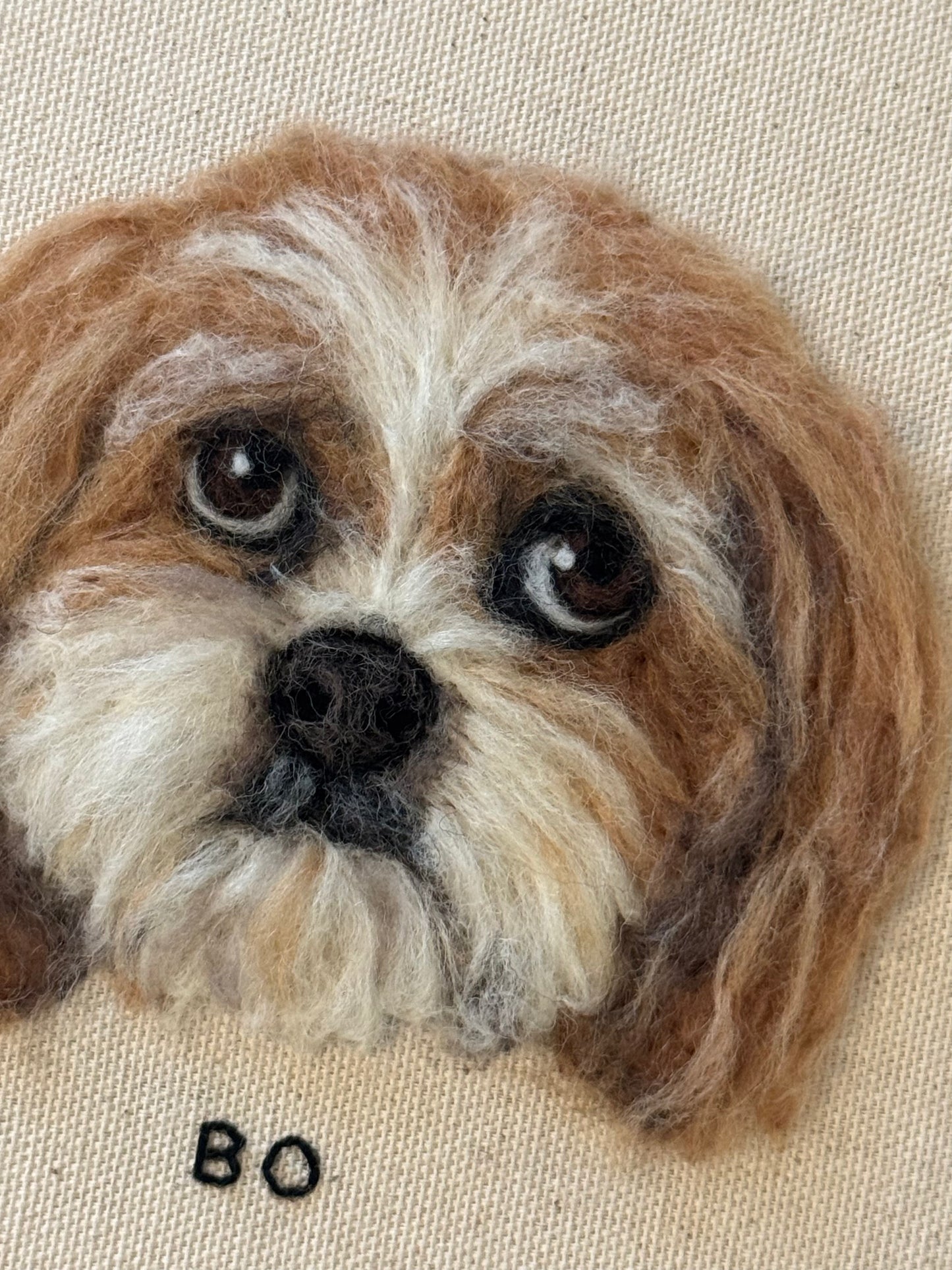 Single Pet Portrait
