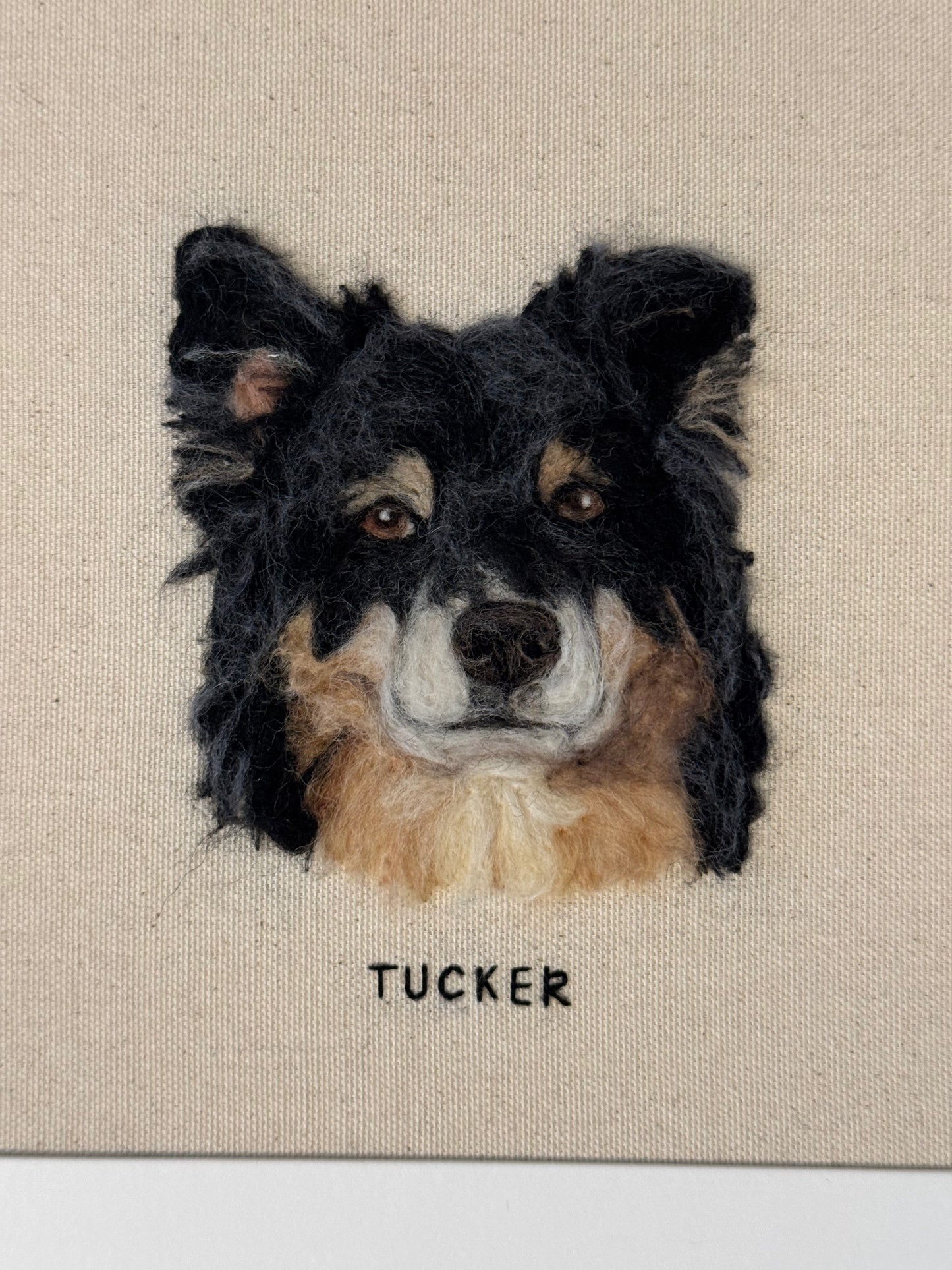 Single Pet Portrait