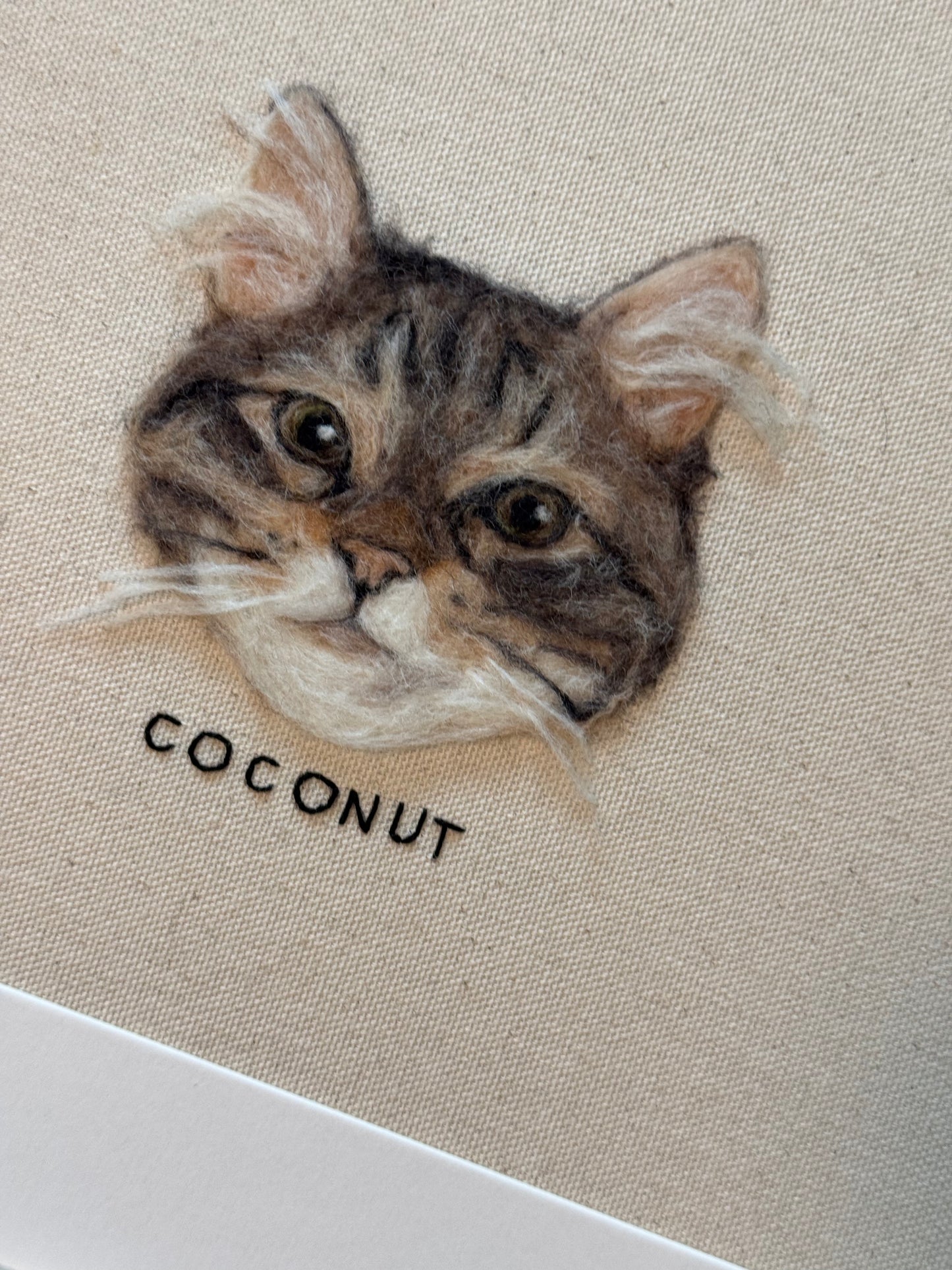 Single Pet Portrait
